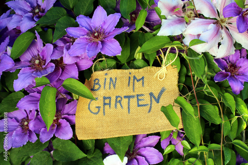 Bin im Garten Schild in lila Blüten © Osterland