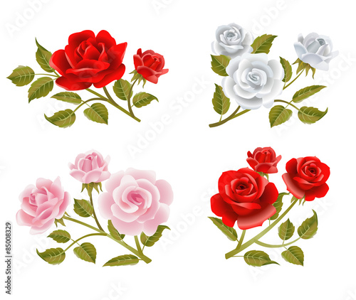 Vector rose buttonholes