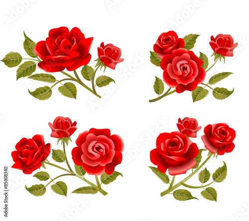 Vector rose buttonholes