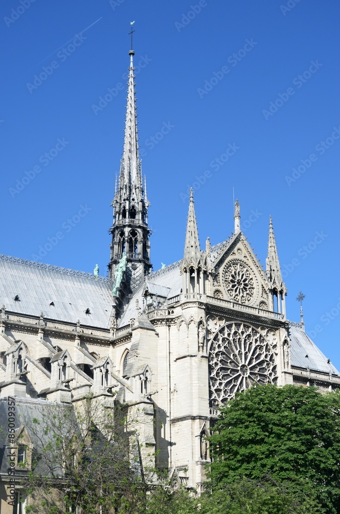 Side of Notre dame  Cathedral paris