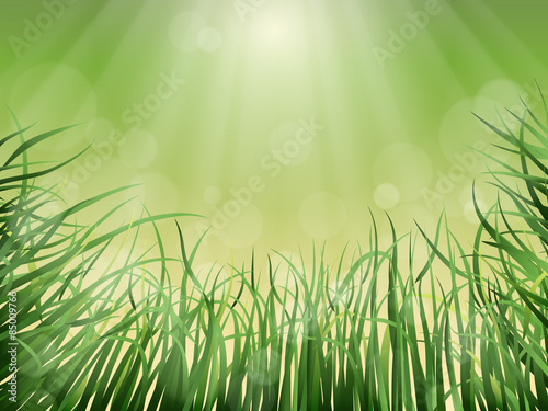 Nature vector background