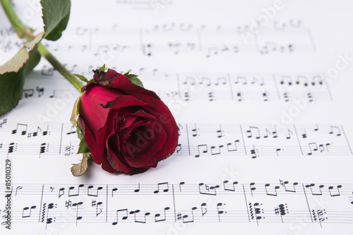 Red rose and sheet music.