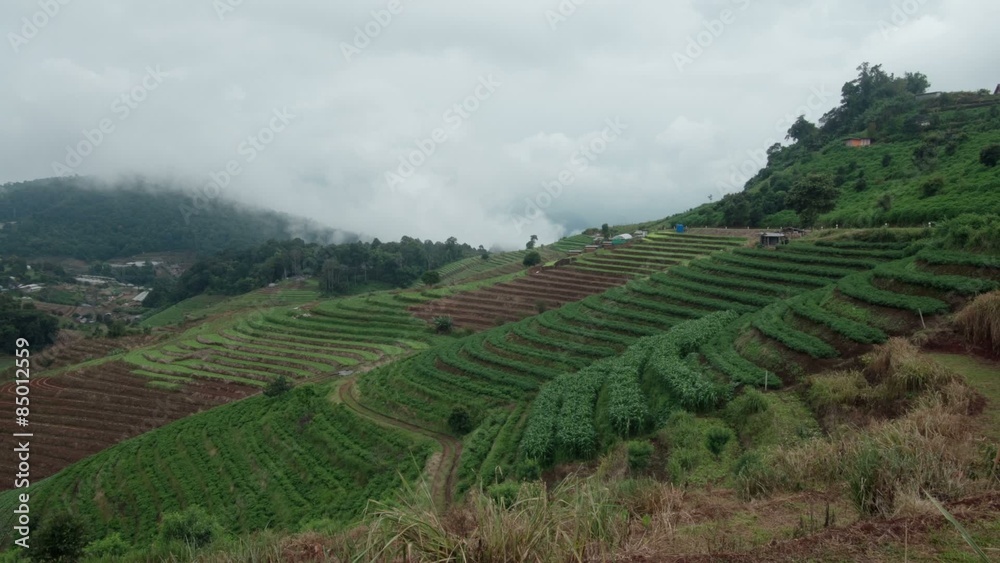 Highlands of northern Thailand, Mon Jam, Mae Rim, Chiang Mai Highlands of northern Thailand, Mon Jam, Mae Rim, Chiang Mai
