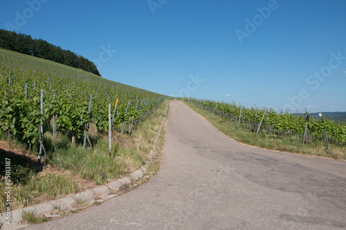 Weinberge