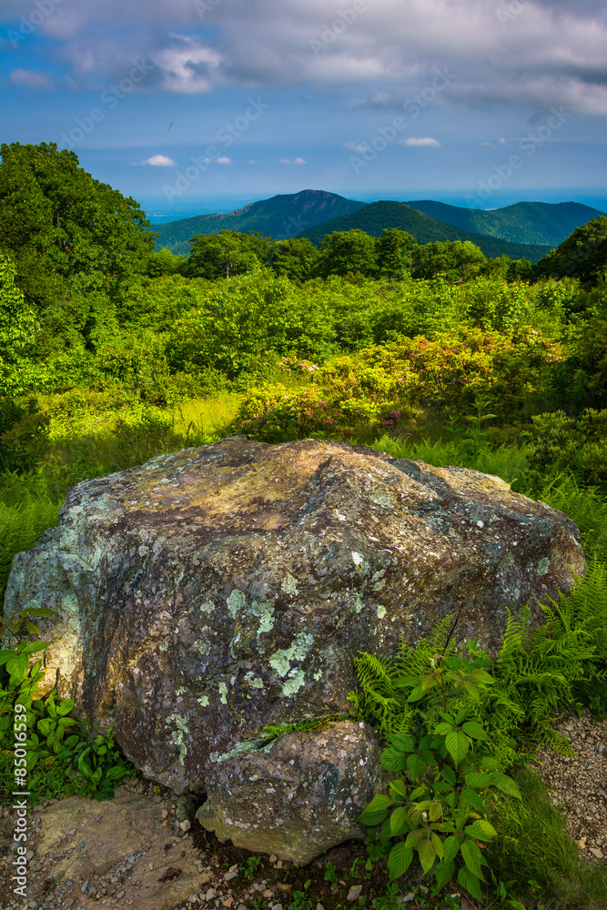 Boulder and view from Thoroughfare Overlook, in Shenandoah Natio