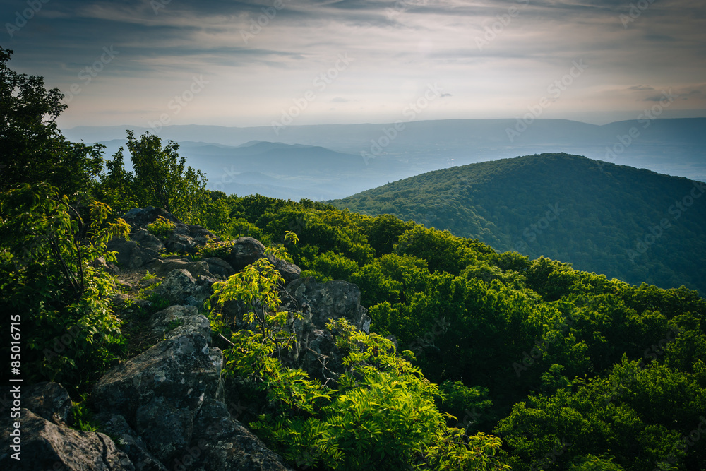Evening view from Hawksbill Summit, in Shenandoah National Park, Evening view from Hawksbill Summit, in Shenandoah National Park,