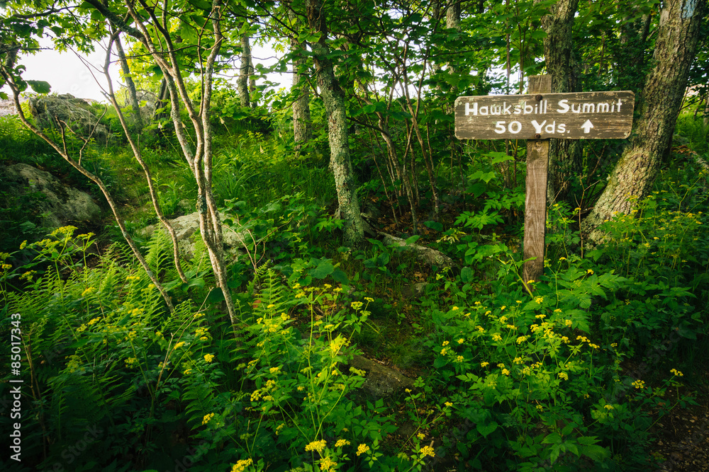Sign for Hawksbill Summit, in Shenandoah National Park, Virginia Sign for Hawksbill Summit, in Shenandoah National Park, Virginia