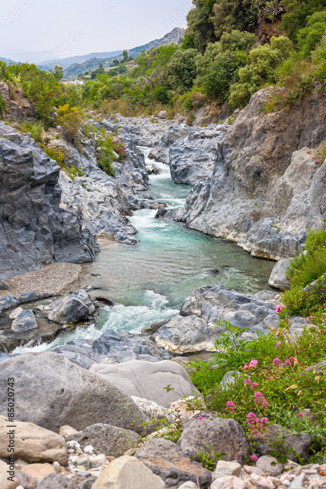 Naklejka premium Gole Alcantara