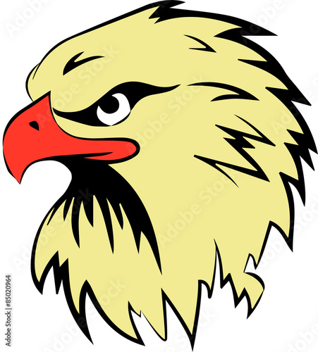 vector illustration of an eagle's head