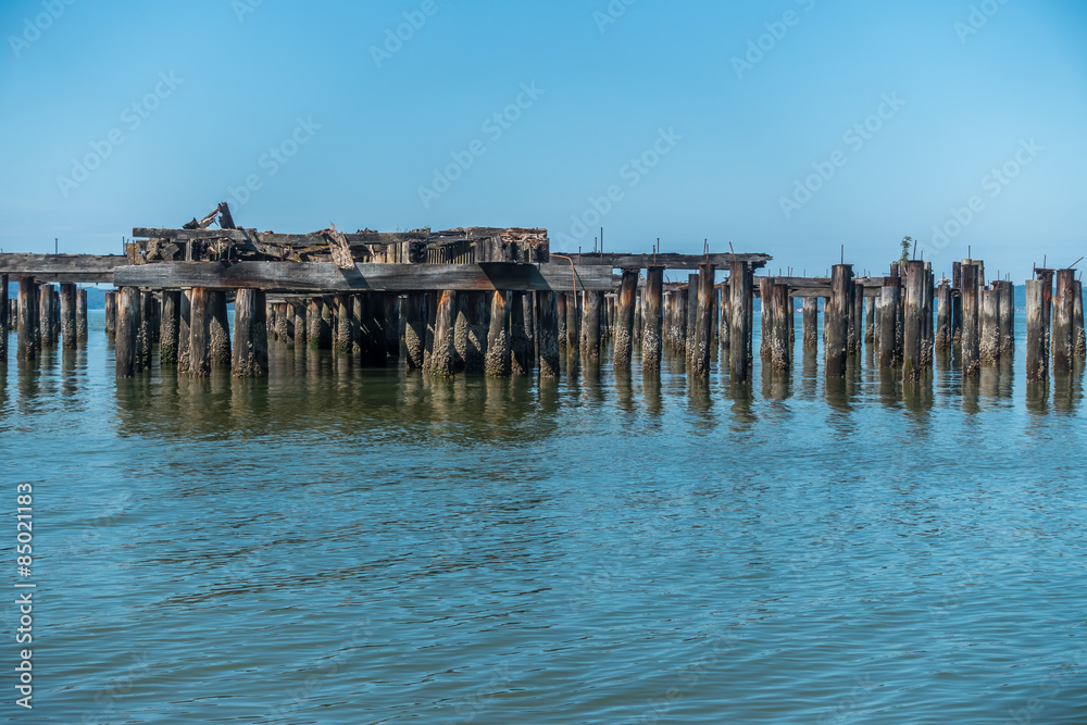 Fototapeta premium Decayed Pier Pilings