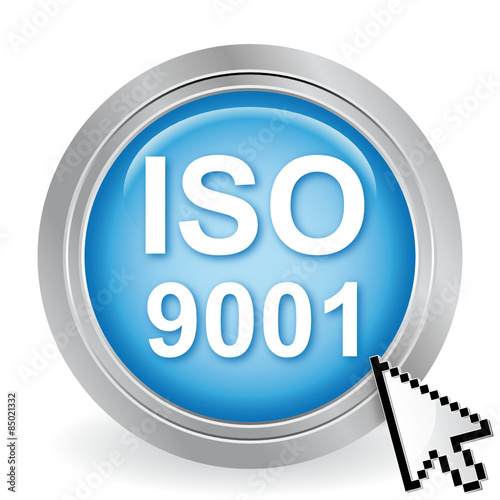 ISO 9001 ICON