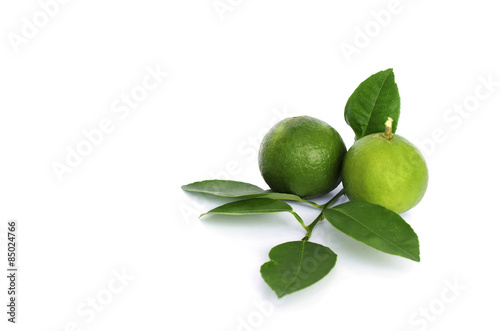 Wallpaper Mural Green lemon  and leaves on white background Torontodigital.ca