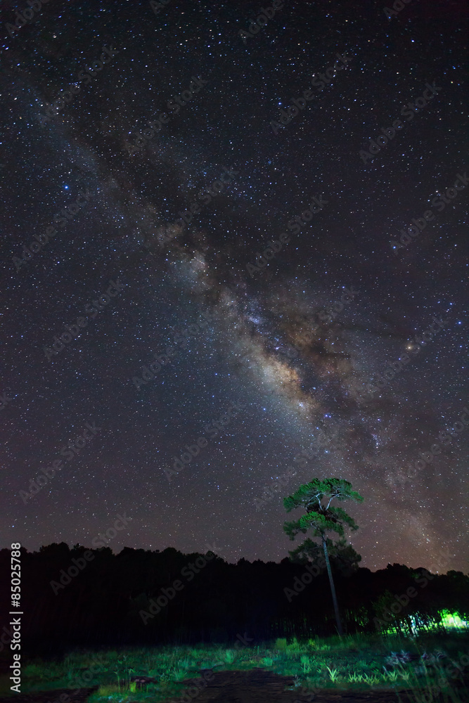 Silhouette of tree with cloud and beautiful milkyway on a night