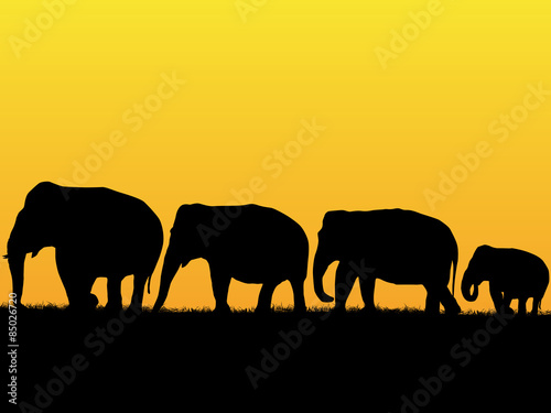 African background with elephants