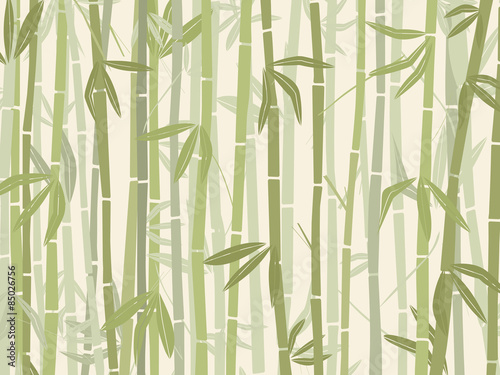 Bamboo forest Fototapeta