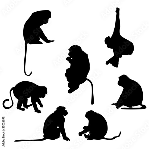 Playful monkey silhouettes