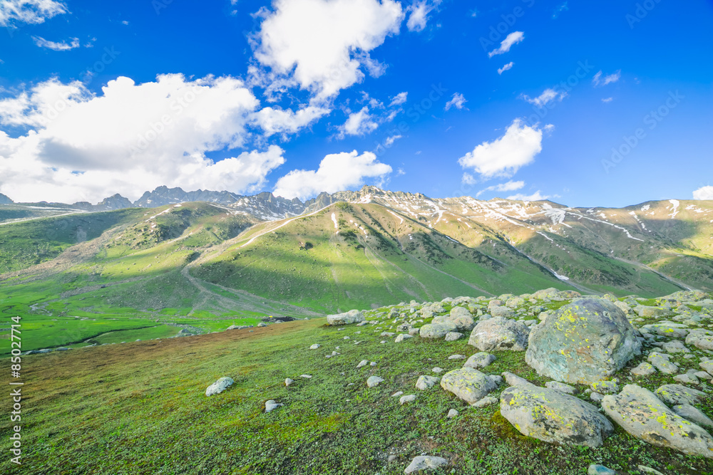 Naklejka premium Grass in Valley