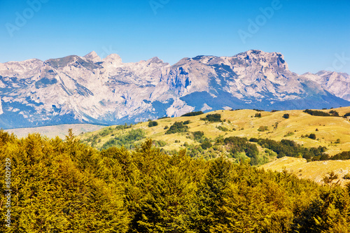 sunny mountain landscape