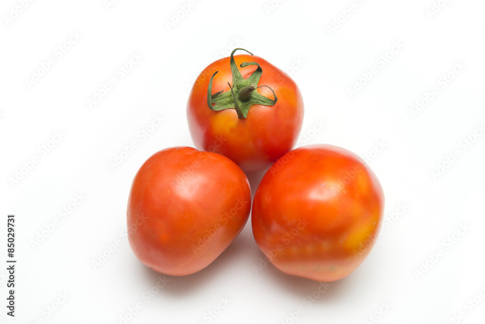 fresh red tomato from garden fresh red tomato from garden