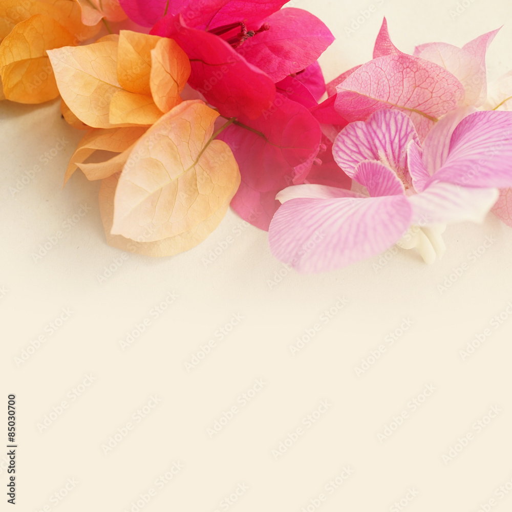 Sweet flowers in vintage color style for background
