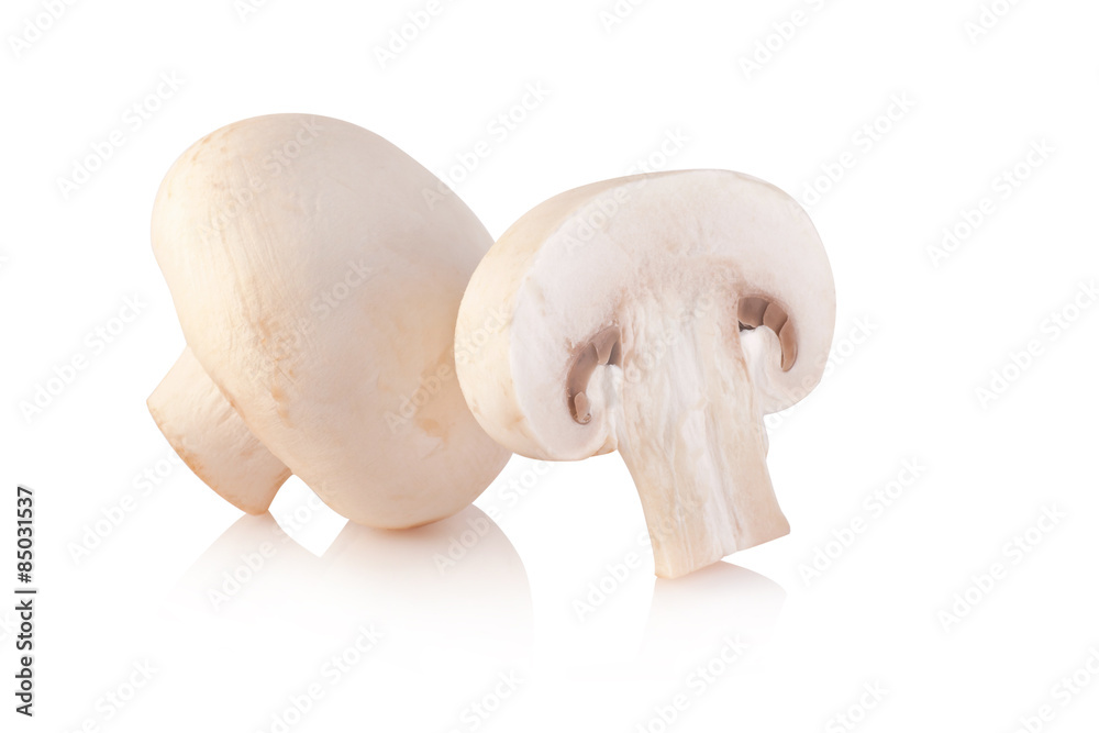 Champignon Isolated on White Background Champignon Isolated on White Background