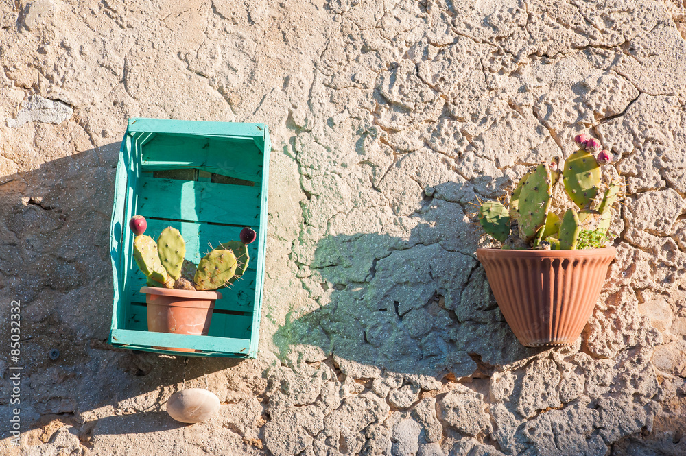 View of an ornamental wooden fruit box hung in the external wall of a stone house as a vase holder for a cactus plant
