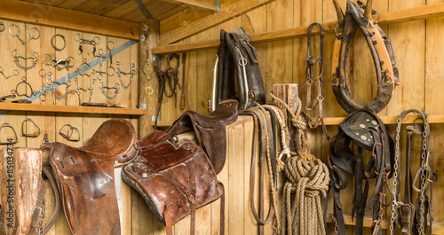 Photos Horse Gear