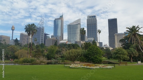 Sydney City from the Botanic Garden