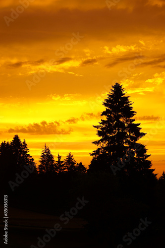 Goldener Himmel beim Sonnenuntergang im Schwarzwald