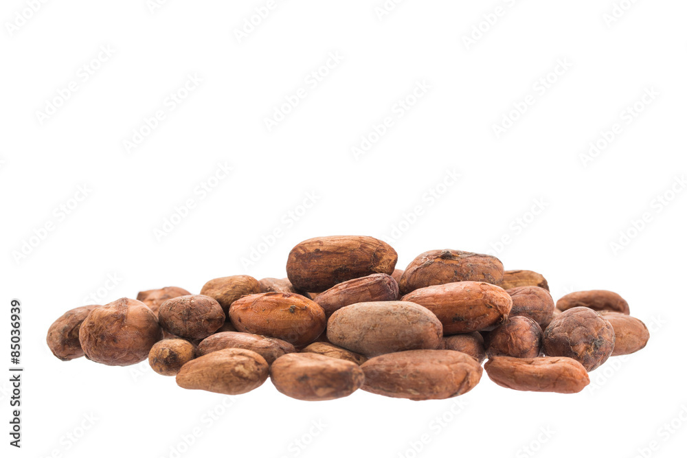 Obraz premium Cacao beans isolated over white