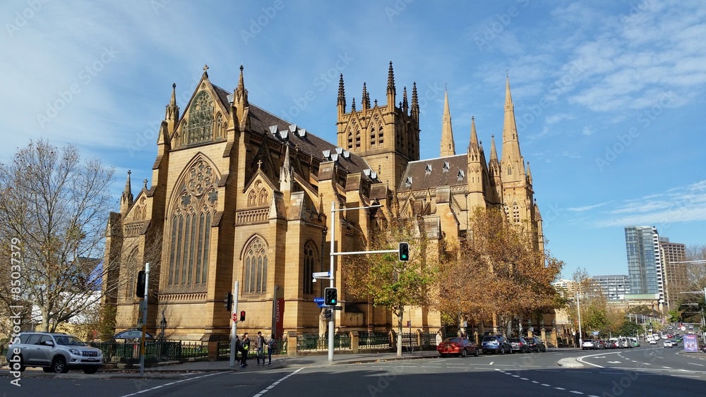 Fototapeta premium St Mary's Cathedral, Sydney, Australia 