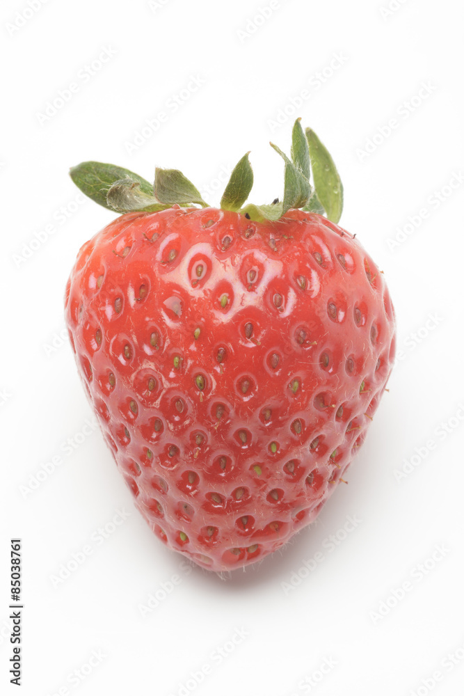 Fresa Fresa