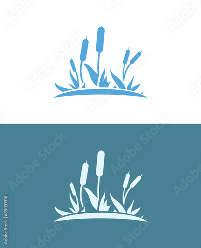 Cattails