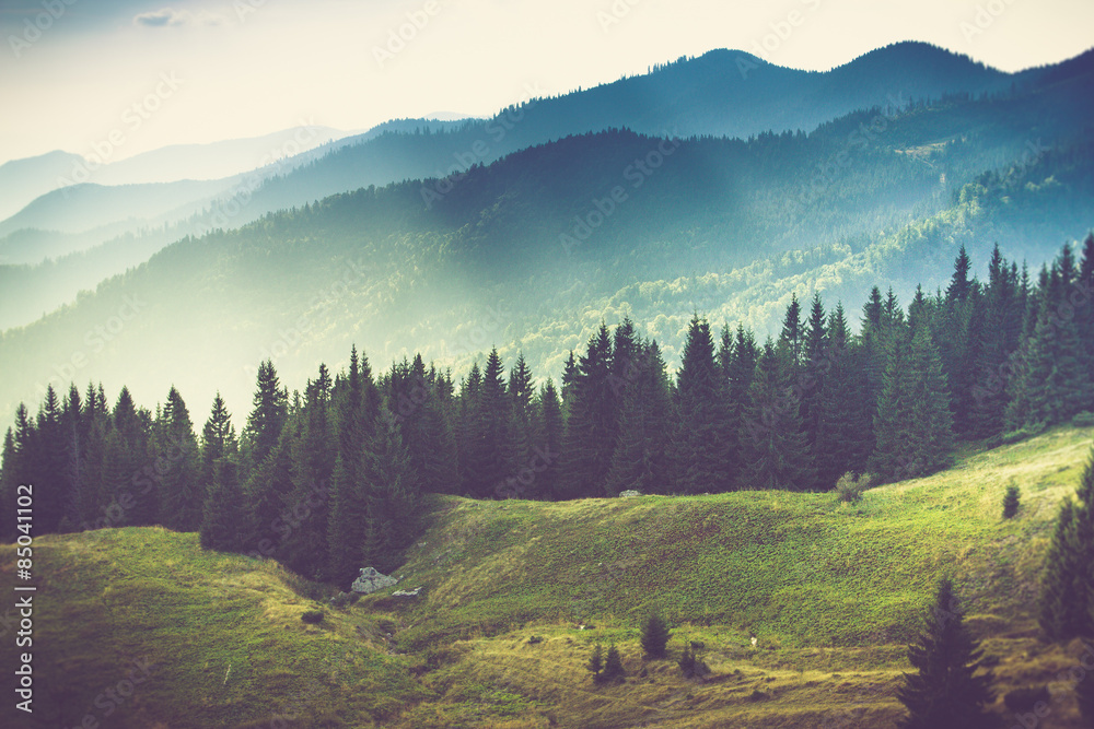 Obraz premium Piękny letni krajobraz górski.