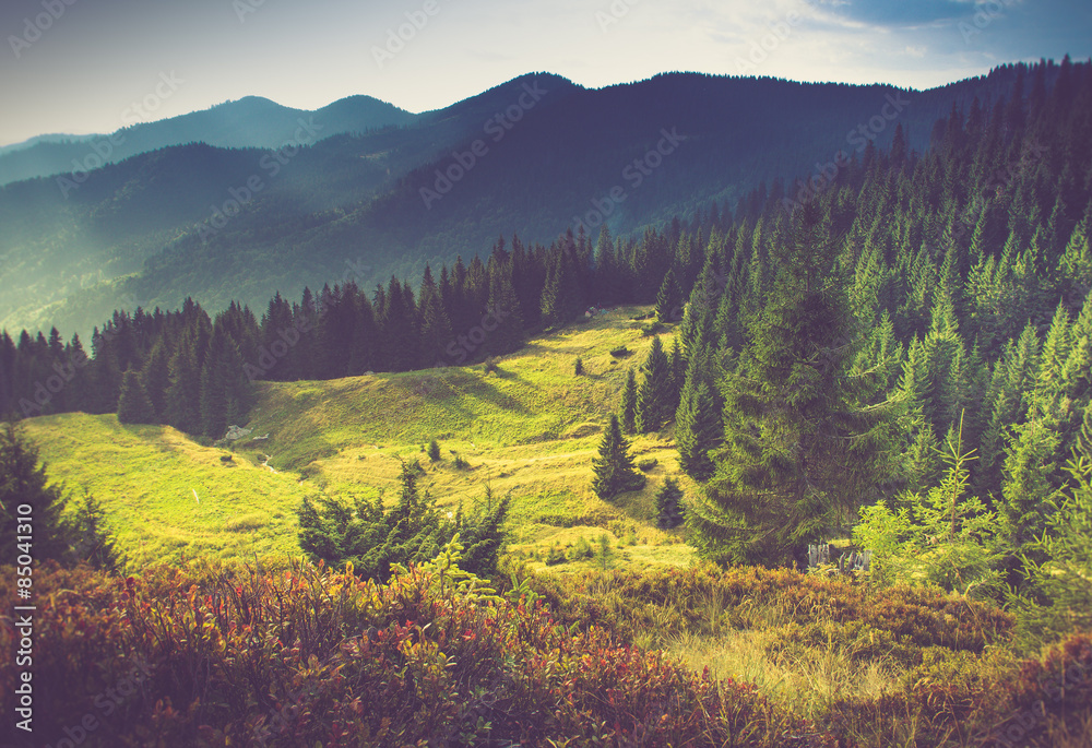 Fototapeta premium Piękny letni krajobraz górski w słońcu.