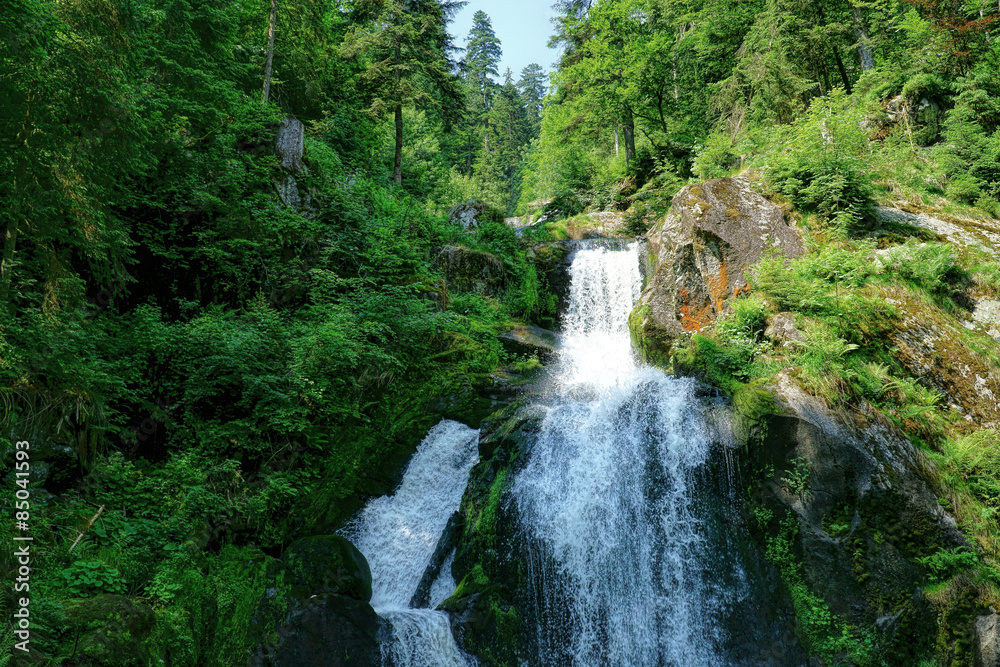 Der Wasserfall in Triberg im Schwarzwald - 5