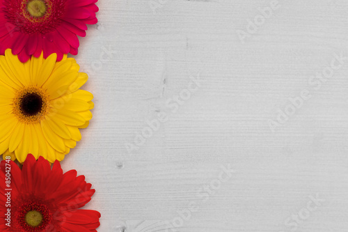 Floral greetings