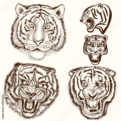 Fototapeta Naklejka Na Ścianę i Meble -  Vector set of hand drawn tattoo with tiger animals