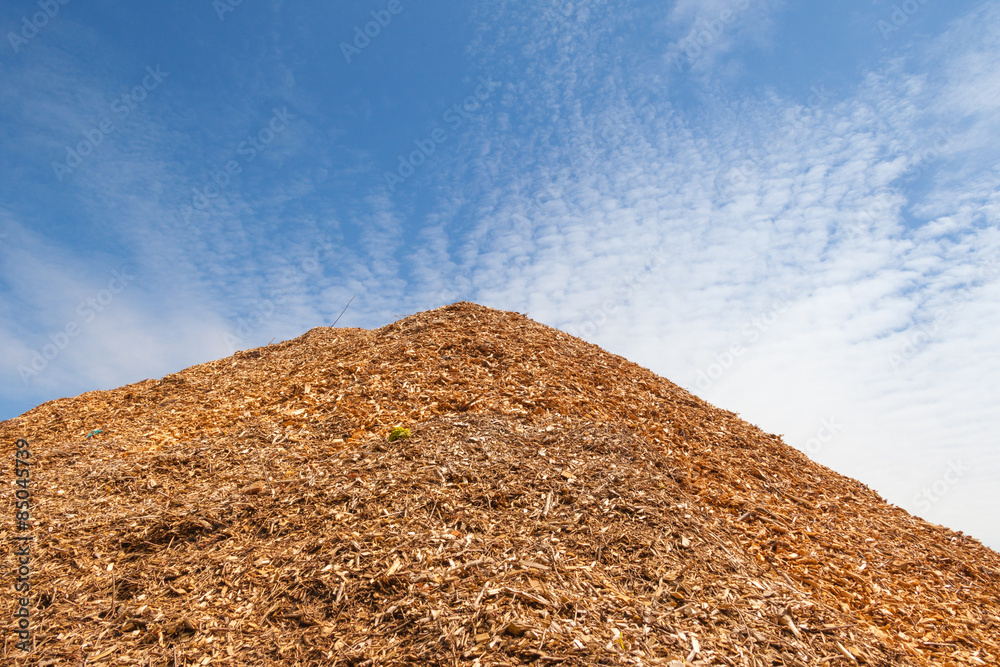 Naklejka premium Holzspäne