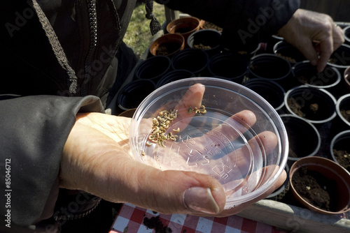 hands holding seeds in plastic bowl