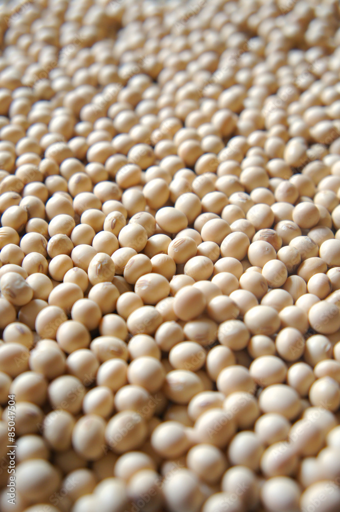Soybeans Soybeans