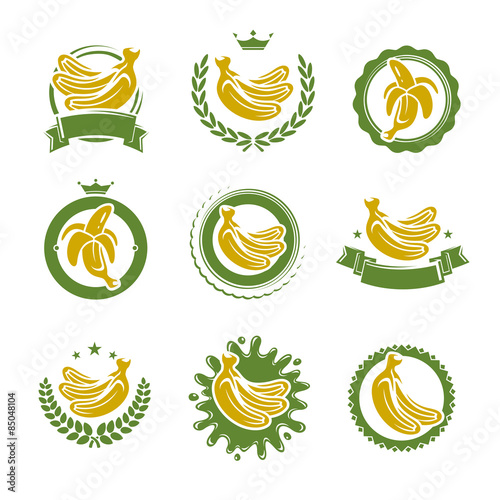 Bananas labels and elements set. Vector
