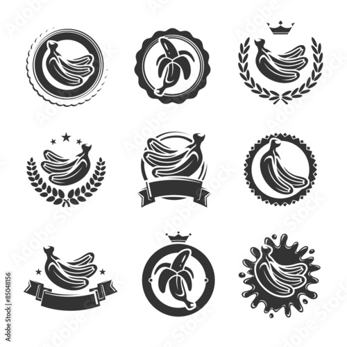 Bananas labels and elements set. Vector