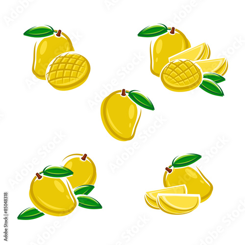 Mango set. Vector