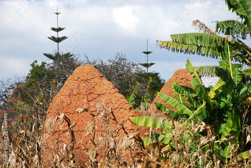 Building a house made of mud and clay in Pomerini in Tanzania - photo