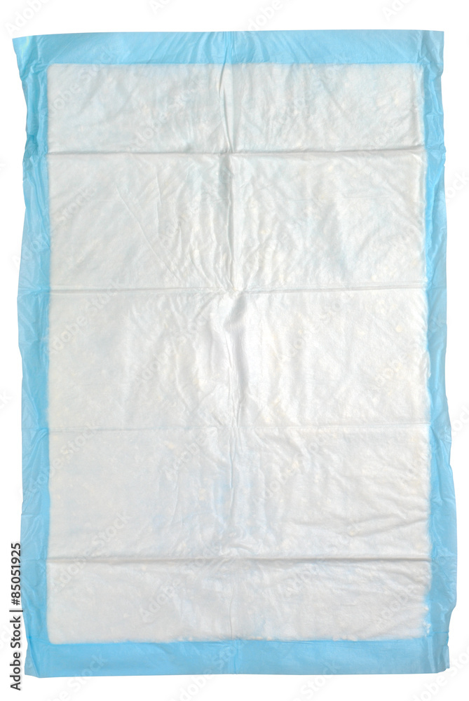 Obraz premium Babys Nappy