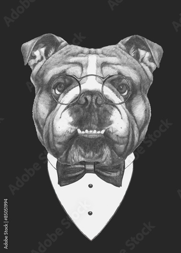 Hand drawn fashion Illustration of English Bulldog. Vector isolated elements.