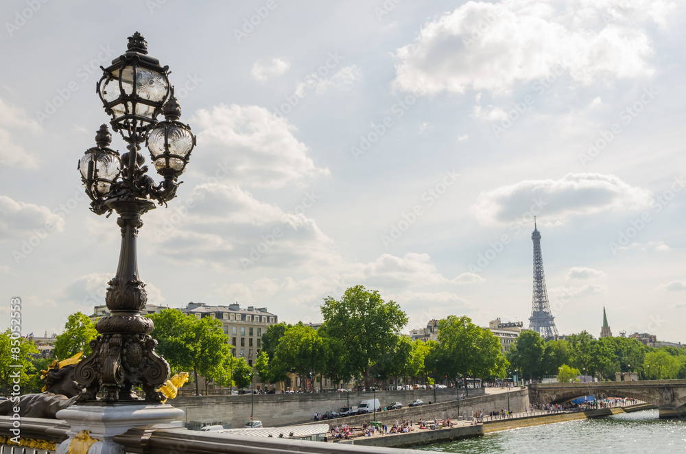 Fototapeta premium Vue du pont Alexandre III