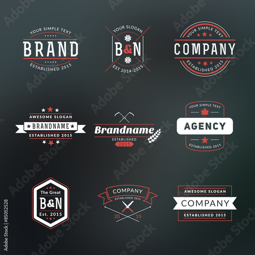 Set of Hipster Vintage Labels, Logotypes, Badges for Your Business