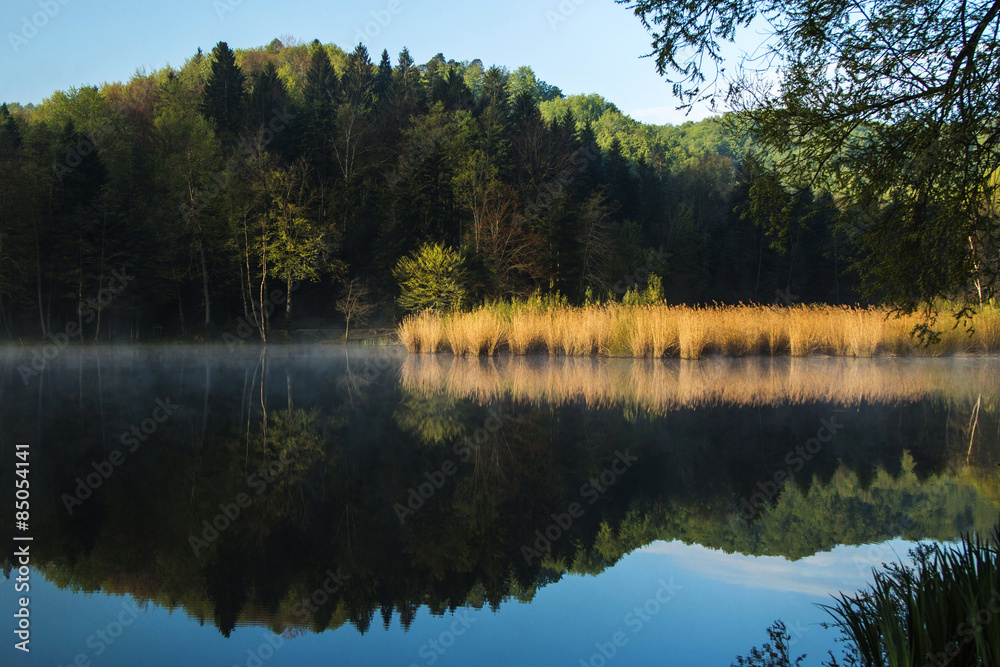 Reflection of trees on Tracoscan lake in Zagorje, Croatia